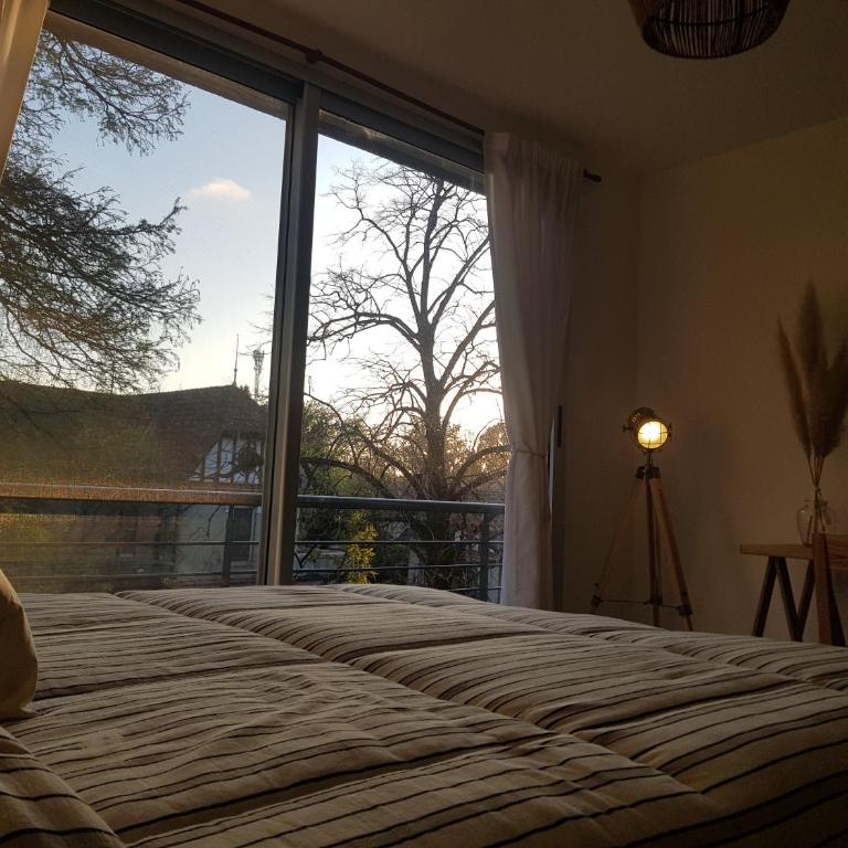 Tigre Studio Apartment - Estudio - 32