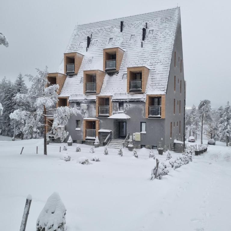 Apartman Planinski san Divčibare - Apartman sa 1 Spavaćom Sobom - 5