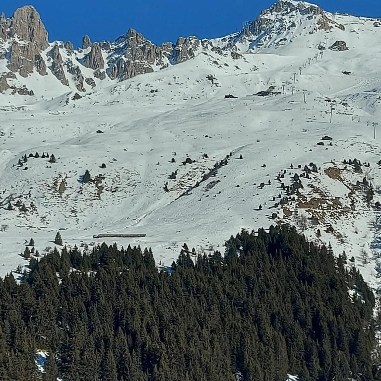 Superbe appartement 143m², 4 chambres, proche des pistes, prestations haut de gamme - FR-1-613-101 - Apartment - 3