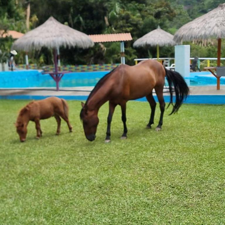 Cabaña rodeada de naturaleza - Casa de 3 dormitorios - 3