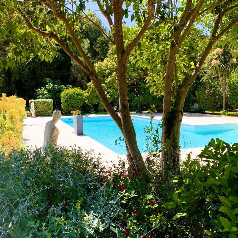 Gîte Studio Les Oliviers - One-Bedroom Apartment - 11