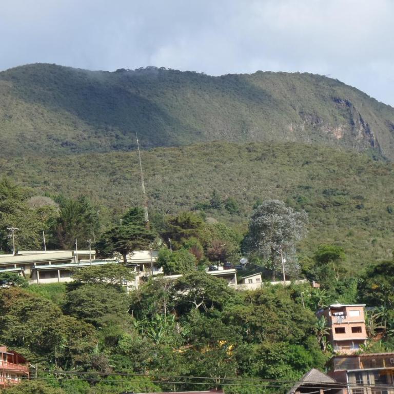 Blue Pine Farm Lodge Cabanas - One-Bedroom House - 9