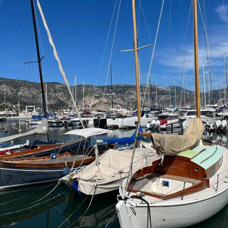 Saint Jean Cap Ferrat grand Studio avec terrasse - Studio avec Vue sur Jardin - 22
