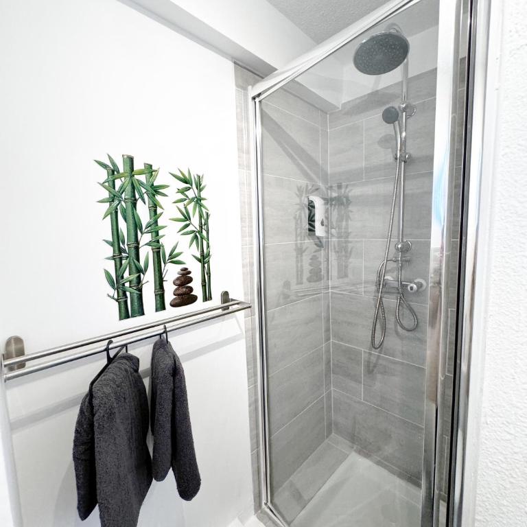 Studio St Ursule RDC - Appartement 1 Chambre - 5