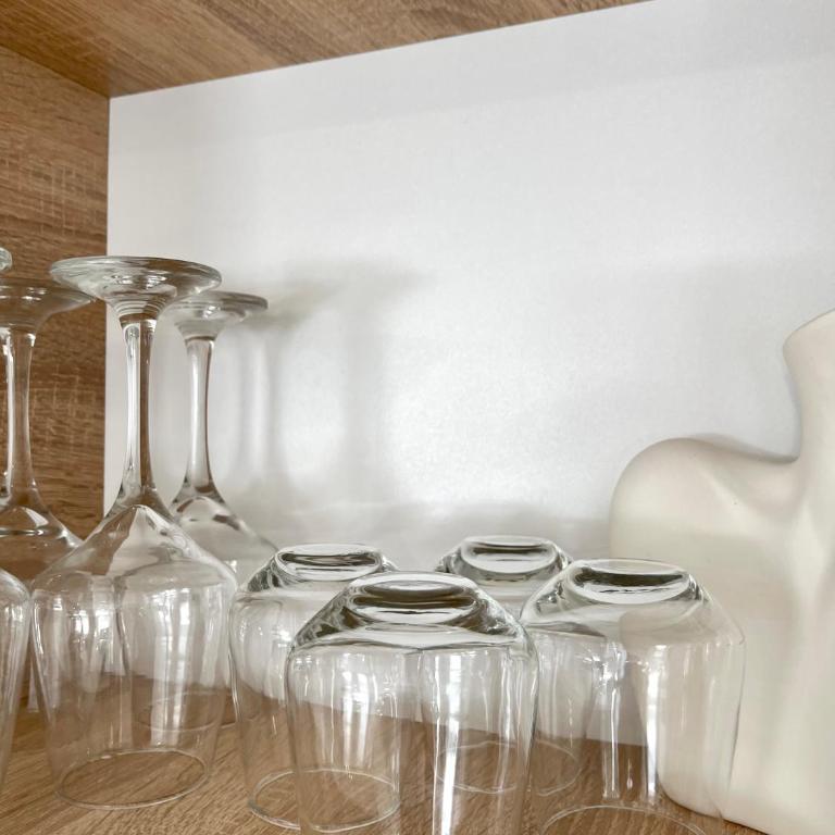 Apartments Pribilovic - Superior Apartman sa Balkonom - 39