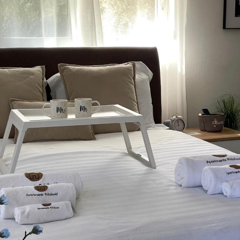 Apartments Pribilovic - Superior Apartman sa Balkonom - 29