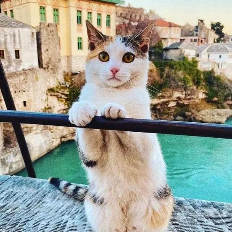 Galaxy Apartment near Old Brige - Two-Bedroom Apartment - 33