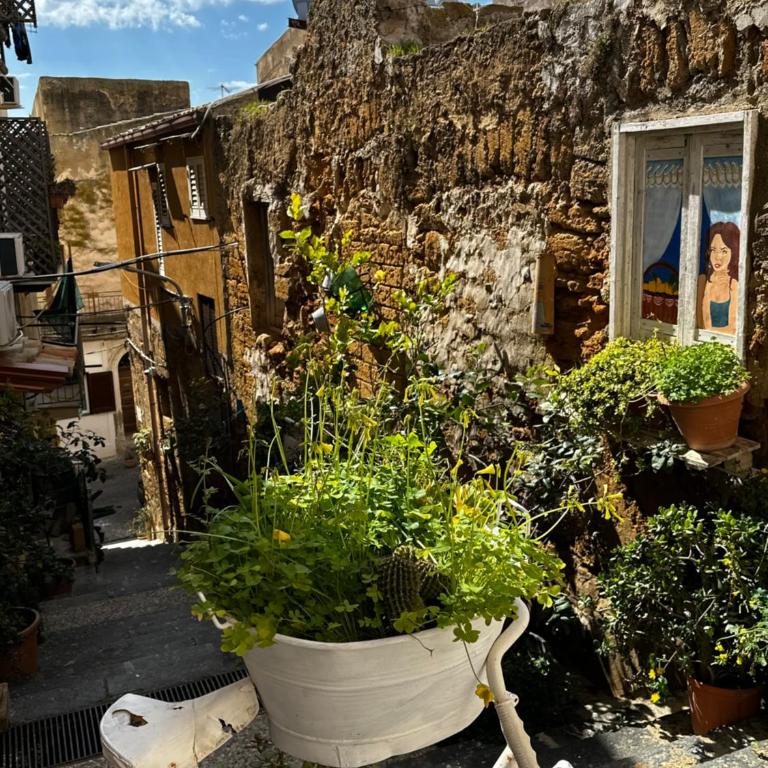 O munti rooms - Camera Matrimoniale con Bagno Privato - 9