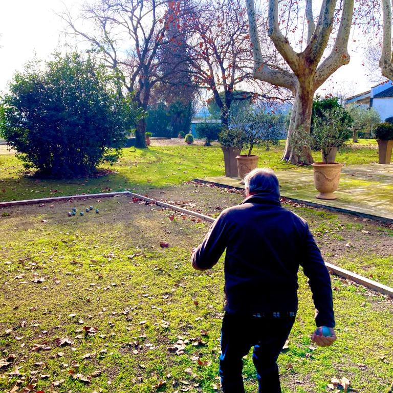 Mas des Bécasses, en Provence - 22 personnes - Villa avec Piscine Privée - 43