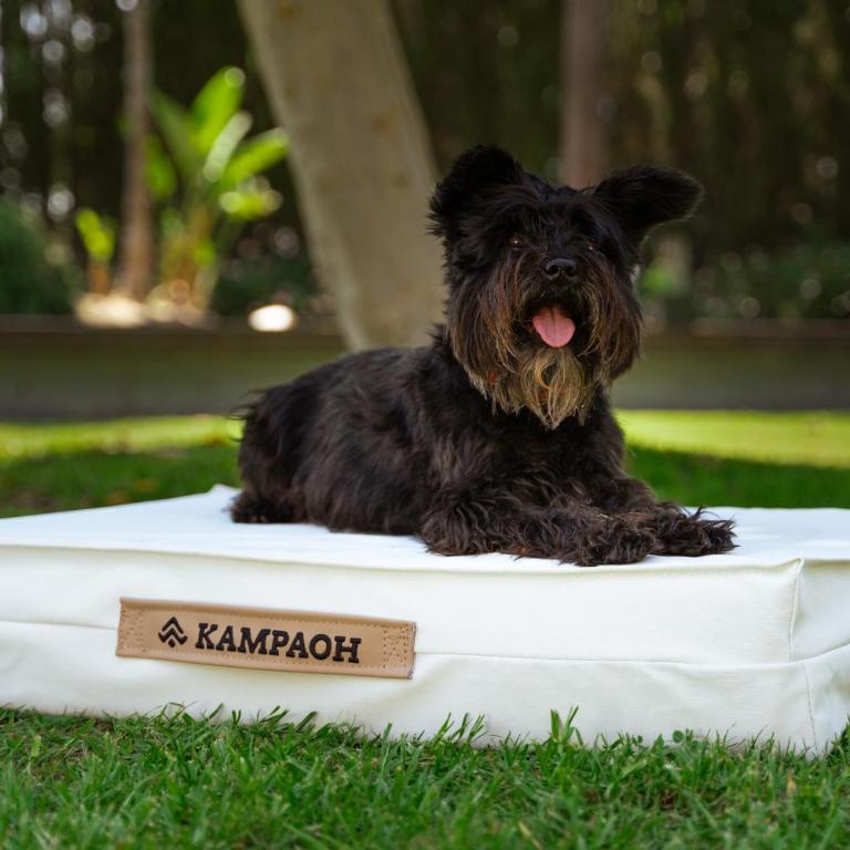 Kampaoh Córdoba - Tienda Bell XL (se admiten mascotas) - 3