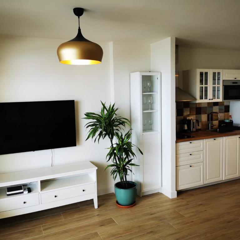 Blue Lagoon Apartment - Apartamento de 2 dormitorios - 53