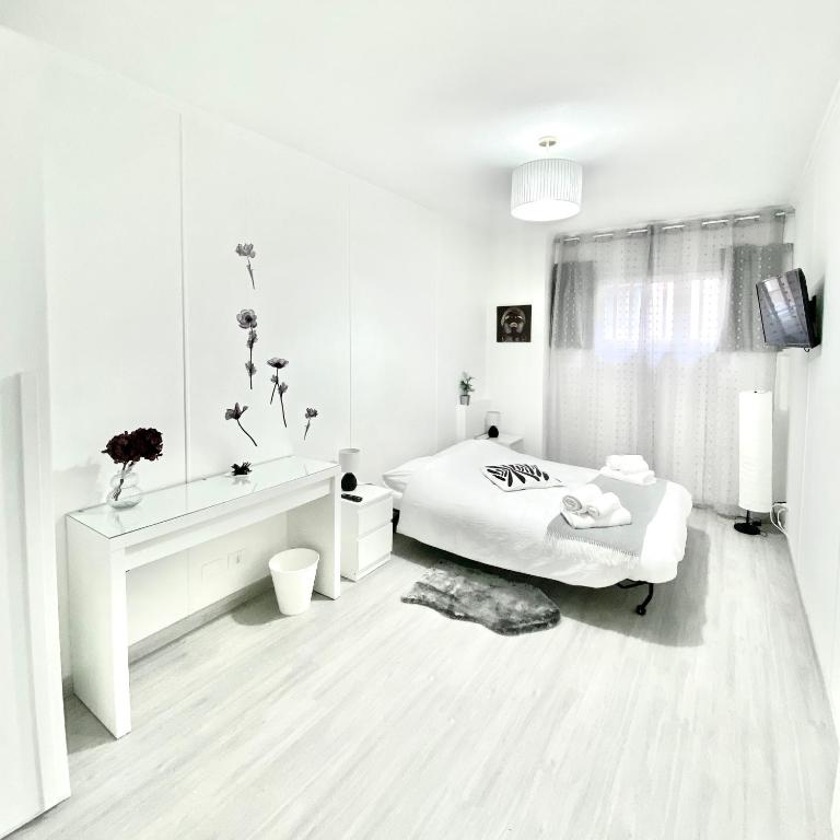 Domus Euclide - Appartamento con 1 Camera da Letto - 2