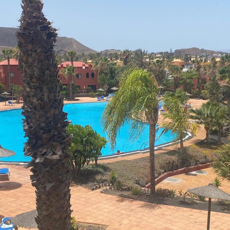 Apartment with pool - Apartamento de 1 dormitorio - 20