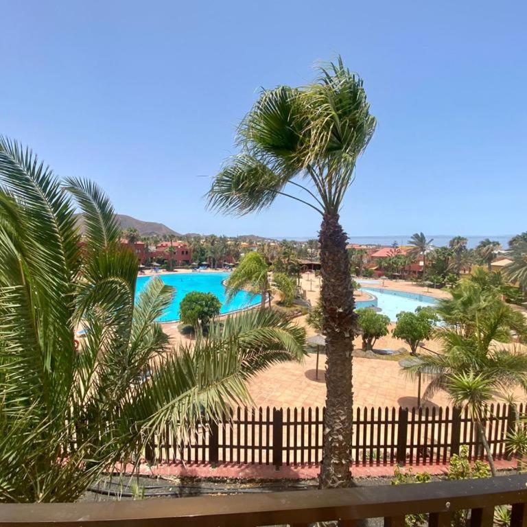 Apartment with pool - Apartamento de 1 dormitorio - 11