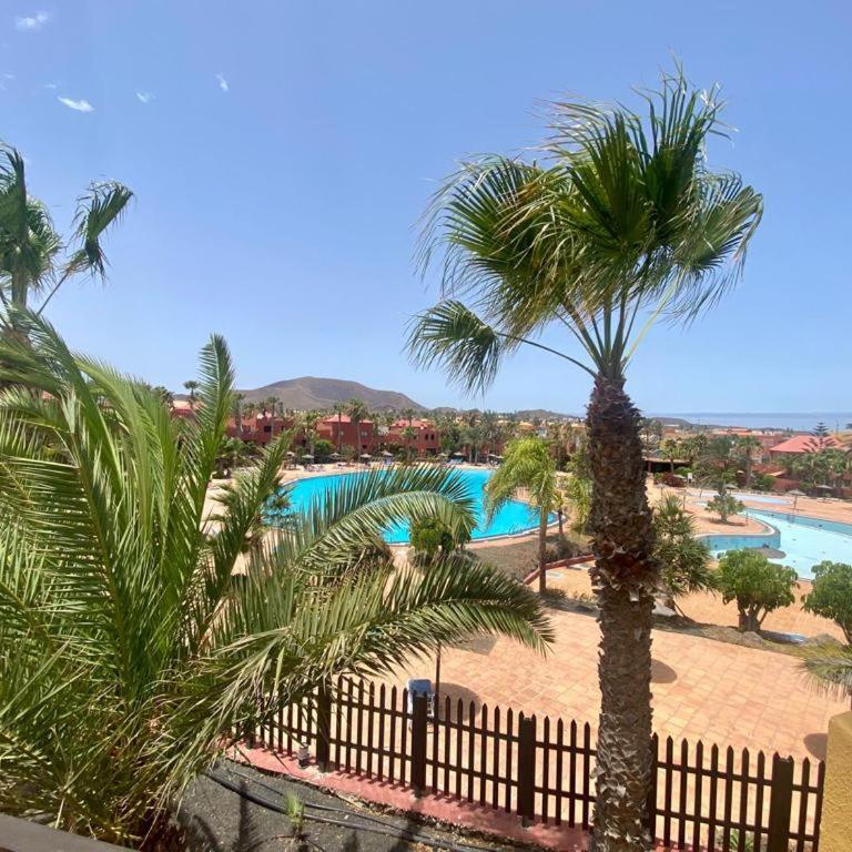 Apartment with pool - Apartamento de 1 dormitorio - 19