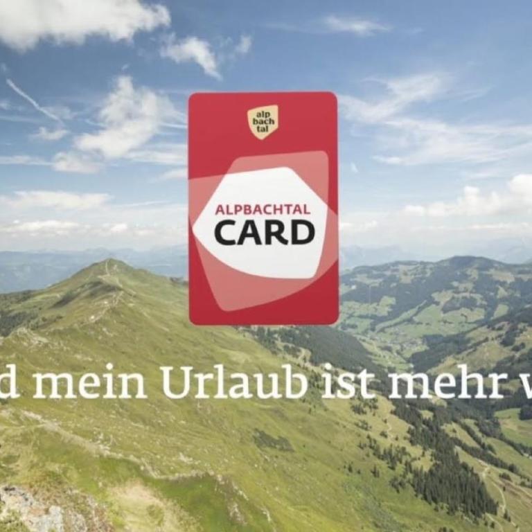 Bergwald Appartements Alpbach - Apartment mit 2 Schlafzimmern - 4