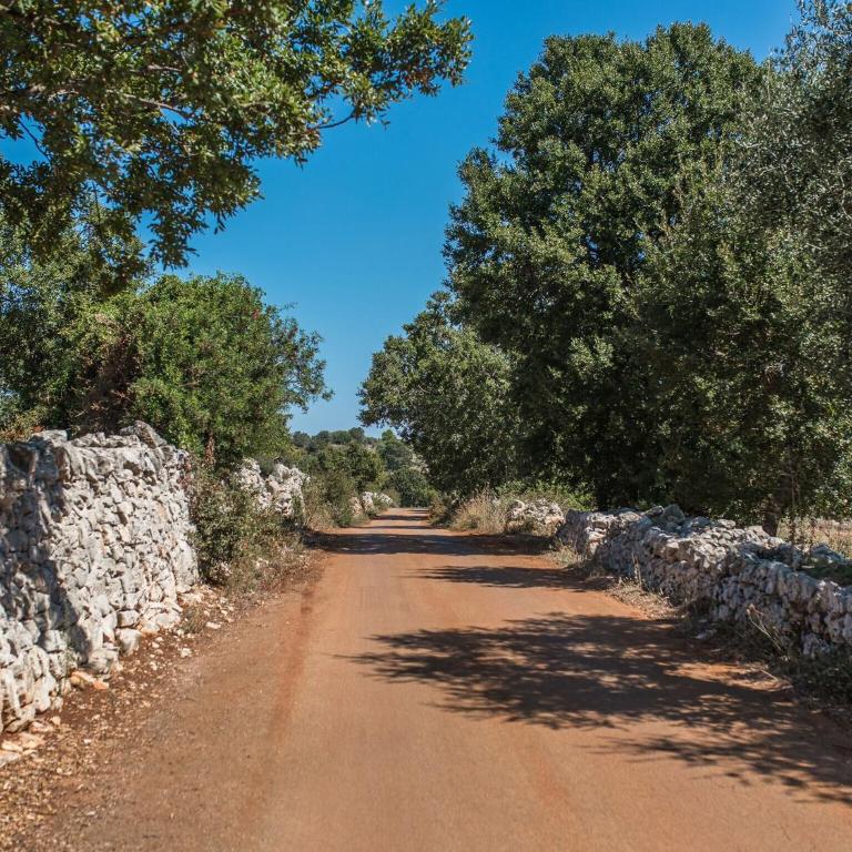 Trullo in Cisternino with Infinity Pool - Three-Bedroom Trullo House - 30
