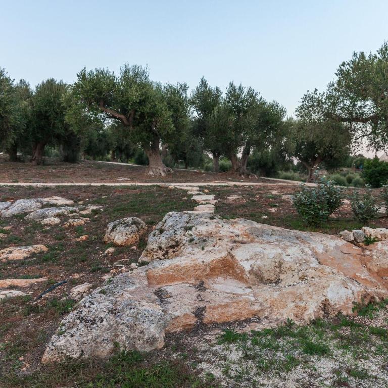 Trullo in Cisternino with Infinity Pool - Three-Bedroom Trullo House - 26