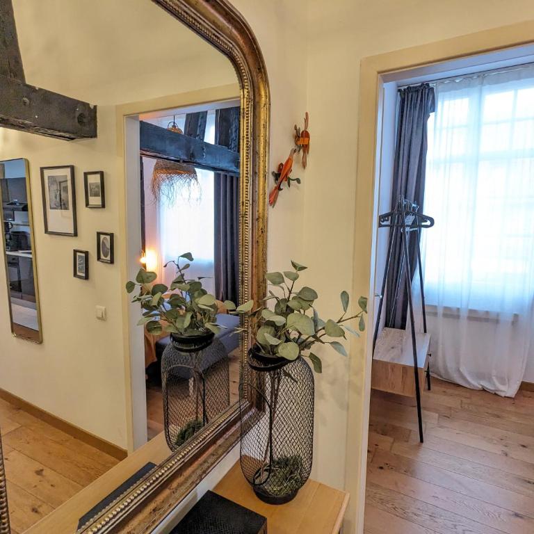 Appartement Place de la Cath' avec Parking - Apartment mit 1 Schlafzimmer - 14