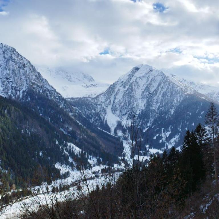 Maso dei Sogni - Vermiglio / Tonale - Appartamento con 1 Camera da Letto - 9