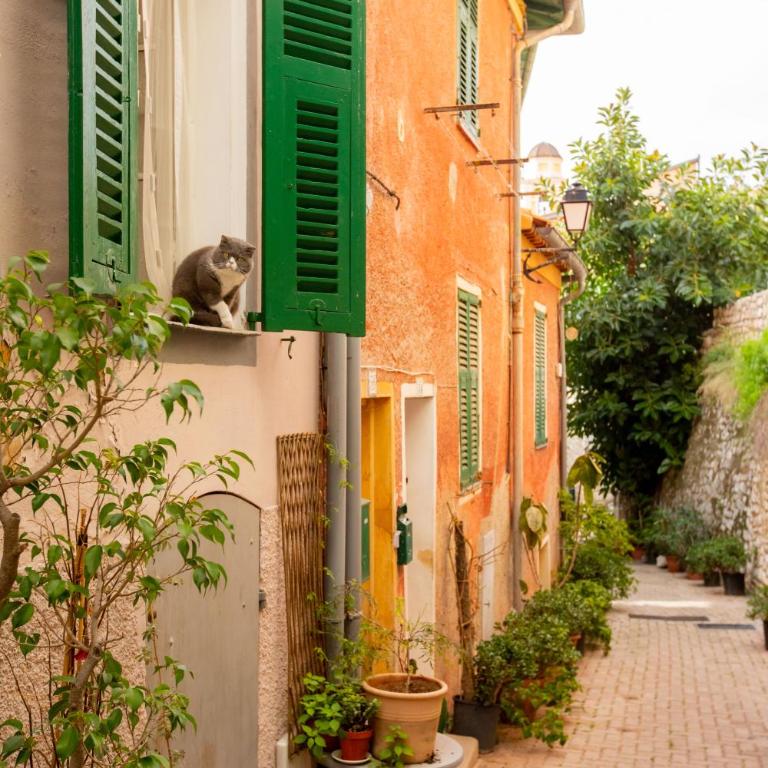 Cozy studio in Villefranche-sur-Mer - Appartement 1 Chambre - 8