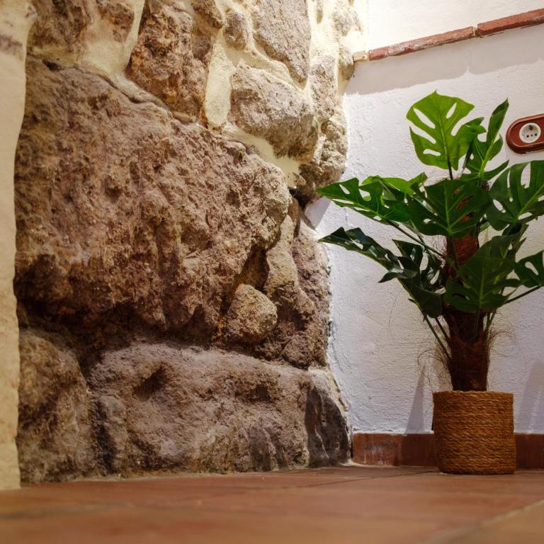 Patio muralla romana ¡Sé parte de la historia! - One-Bedroom Apartment - 25