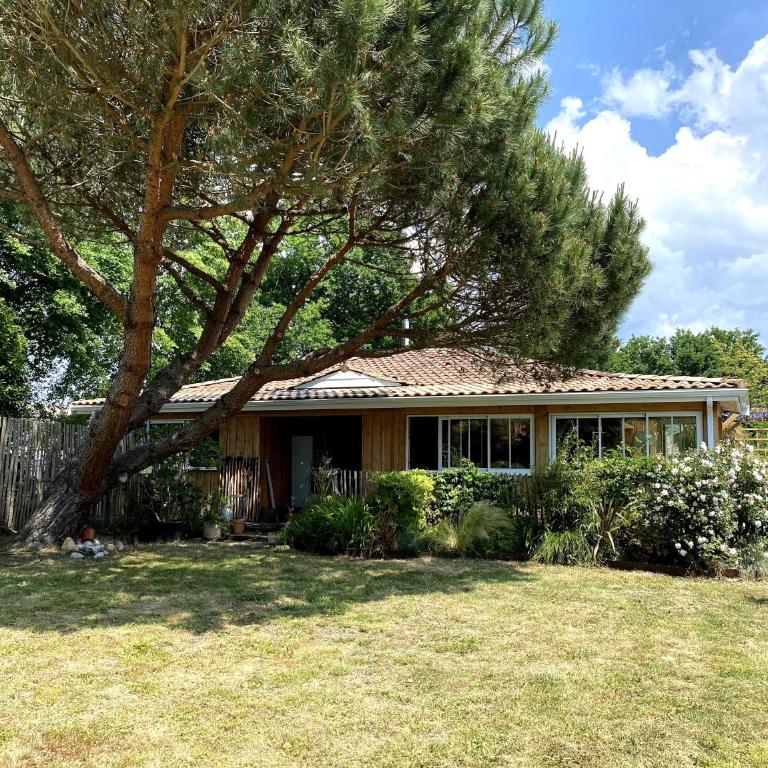 Maison bois flotté - Maison 3 Chambres - 13