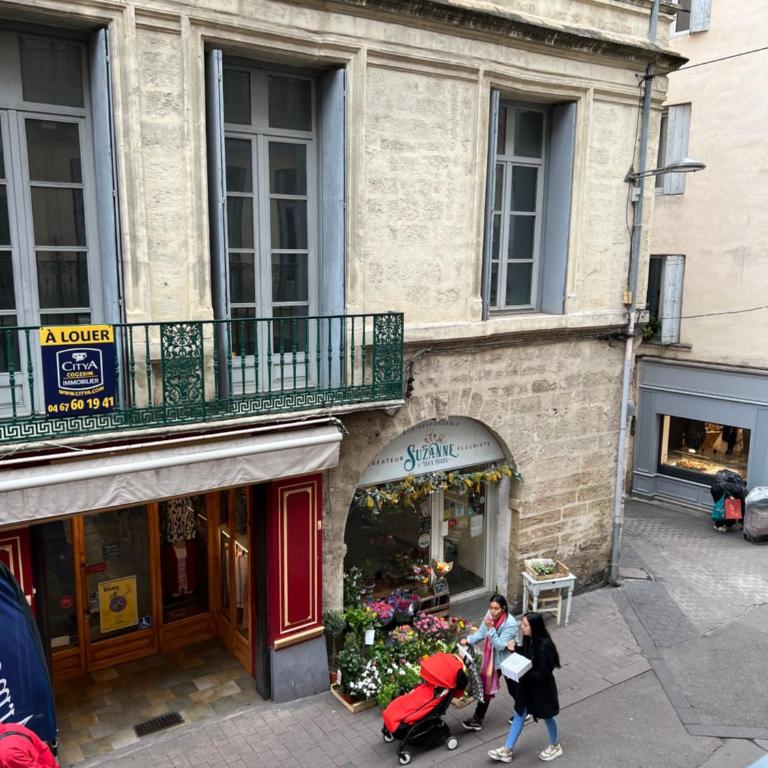 Centre historique rue Saint Guilhem - Apartment mit 1 Schlafzimmer - 12