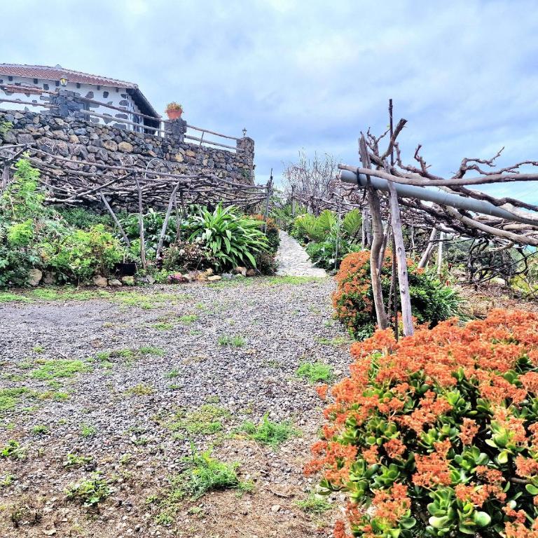 Casa Rural Teide in Icod de los Vinos - Casa de 2 dormitorios - 19