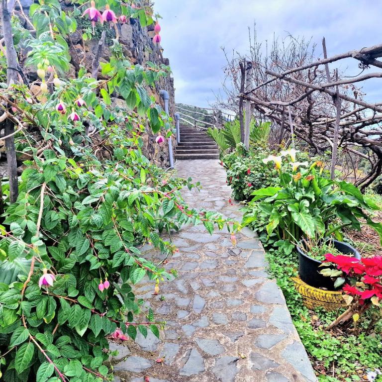 Casa Rural Teide in Icod de los Vinos - Casa de 2 dormitorios - 20