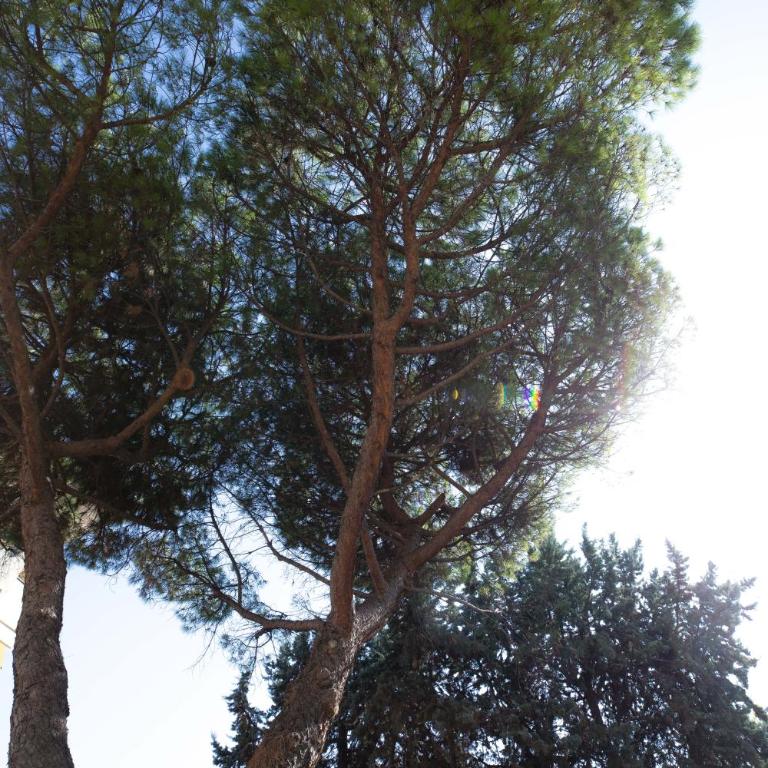 La Casetta - Gaslini e Mare - private parking & garden - Appartamento con 1 Camera da Letto - 40