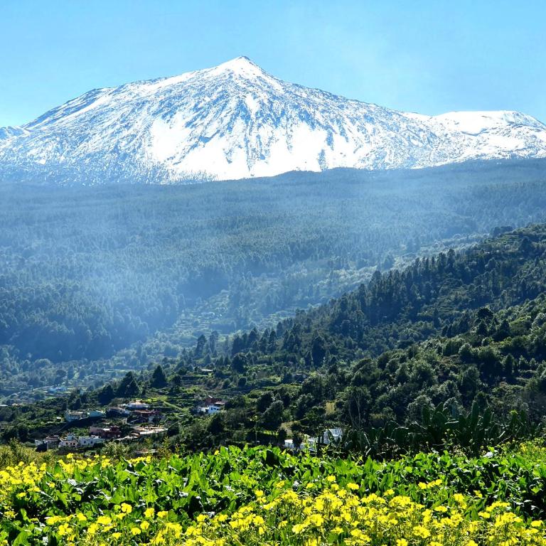 Casa Rural Teide in Icod de los Vinos - Casa de 2 dormitorios - 27