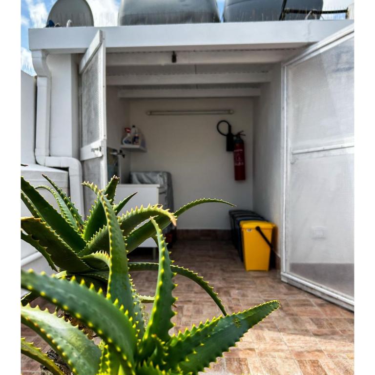 Sicily House 29 - Appartamento con 1 Camera da Letto - 22