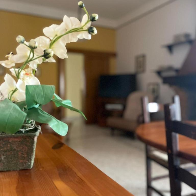 ROSMINI house - Four-Bedroom House - 4
