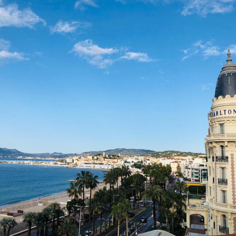 Studio Cannes Croisette - Appartement 1 Chambre - 14