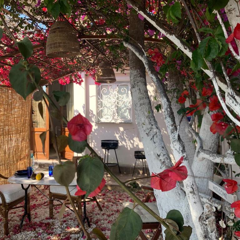 Teodora e Teodorina bohemien house - Appartamento con Vista Giardino - 17