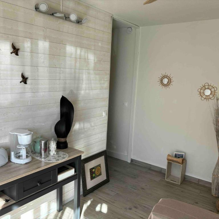 Appartement calme centre village avec jardin parking et wifi fibre - Appartamento con 1 Camera da Letto - 5