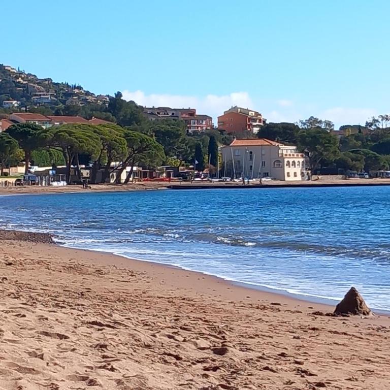 appartement vue mer piscines parking LES CORAUX AGAY PLAGE - Appartement - Vue sur Mer - 23