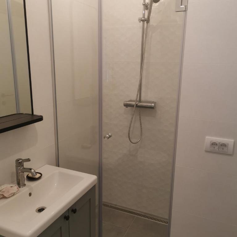 Vukajlo Petit - Apartman sa 1 Spavaćom Sobom - 45