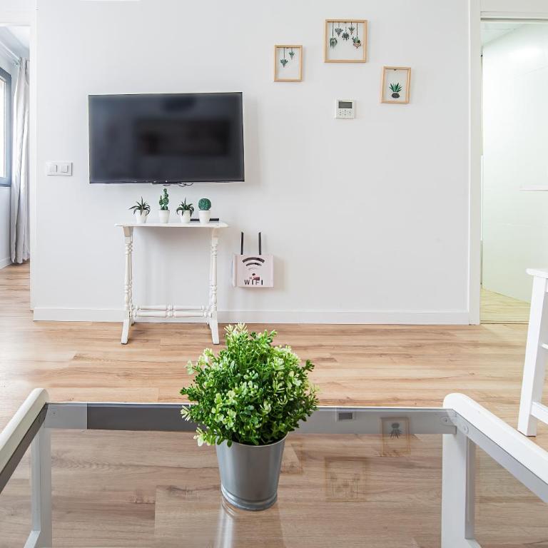 CARTAGENAFLATS, Apartamentos Anfiteatro Romano - Apartamento de 1 dormitorio - 6