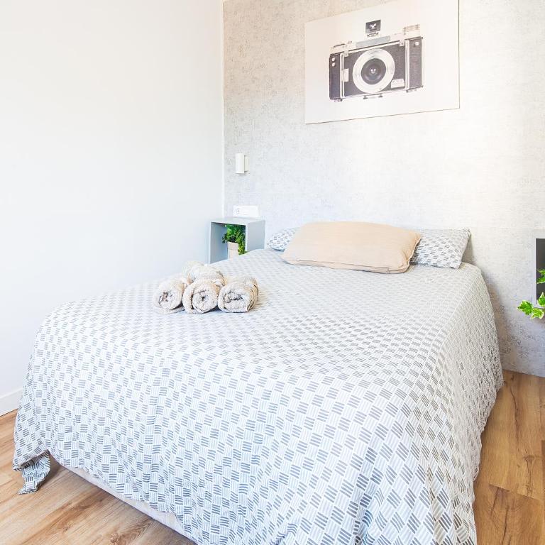 CARTAGENAFLATS, Apartamentos Anfiteatro Romano - Apartamento de 1 dormitorio - 8
