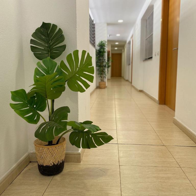 Apartments Brava - Apartamento de 2 dormitorios - 17