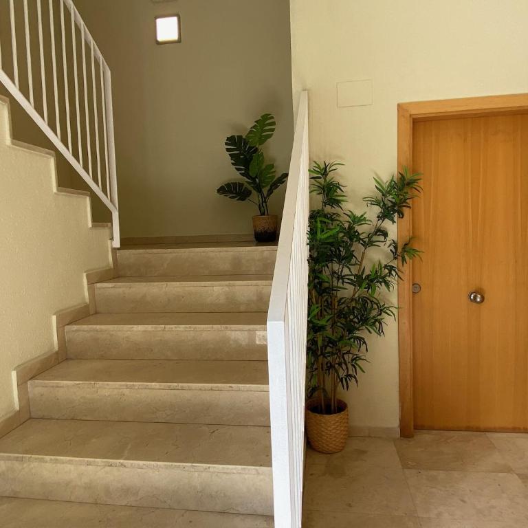 Apartments Brava - Apartamento de 2 dormitorios - 19