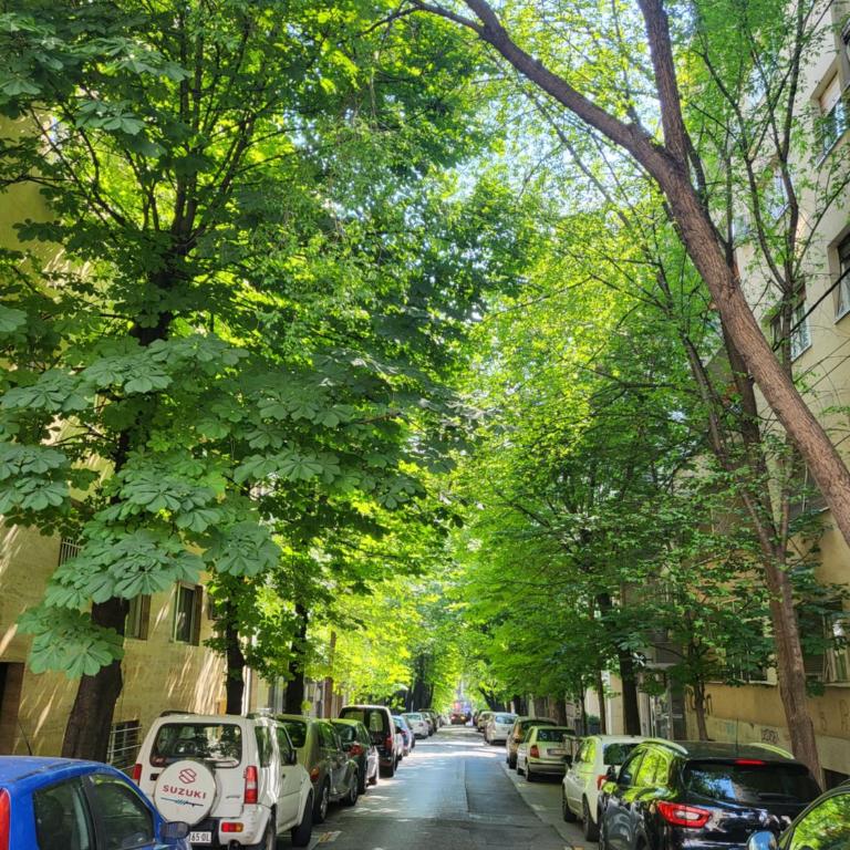 Lux 2 bedroom apartment city center - Apartman sa 2 Spavaće Sobe - 13