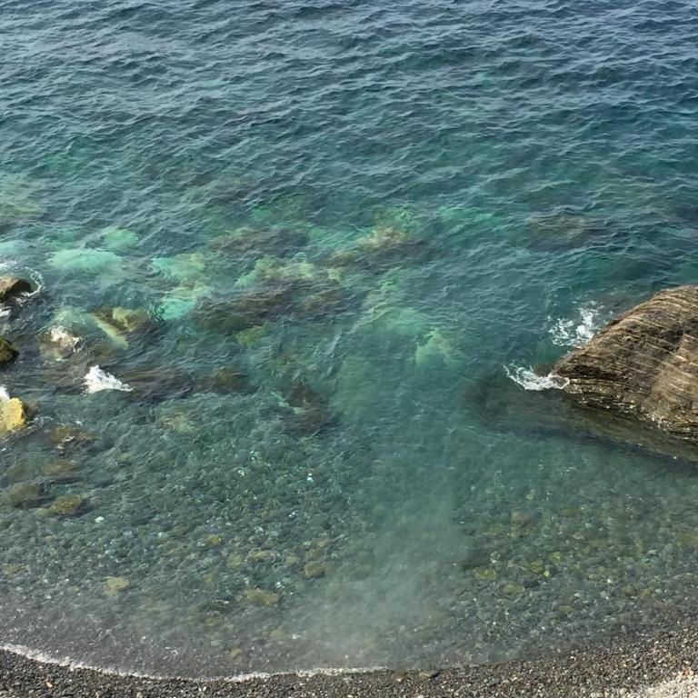La Bloo di Vernazza - Sea View - AC&WiFi - Vernazzarentals - Haus mit 1 Schlafzimmer - 16