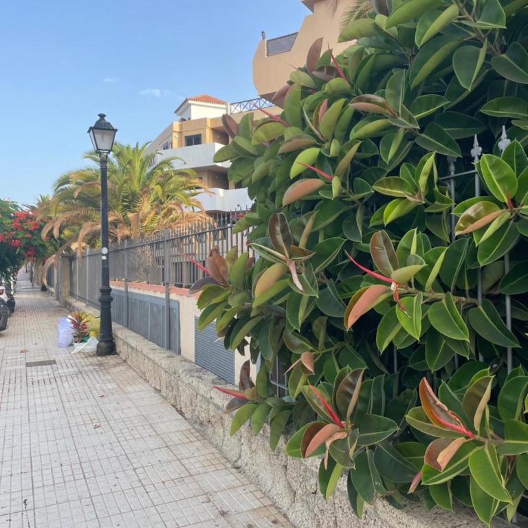 Albatros one bedrooms - Apartamento de 1 dormitorio - 8