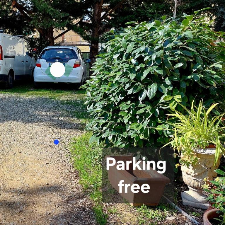 La Piccola Oasi con parcheggio - Appartamento - 11