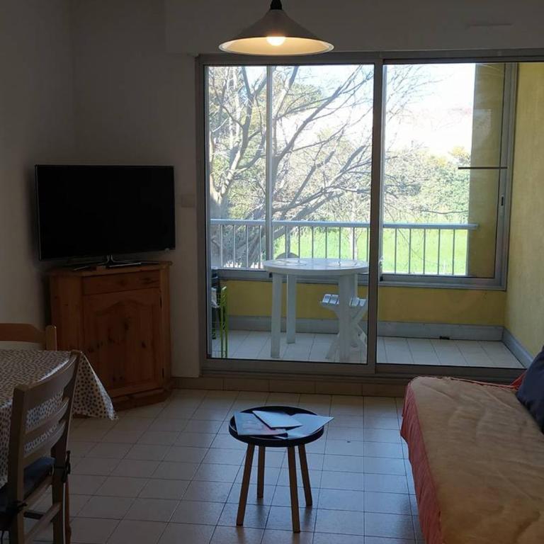 Appartement F2 avec loggia fermée et cuisine équipée, proche des thermes de Balaruc-les-Bains - FR-1-680-39 - Apartment - 6