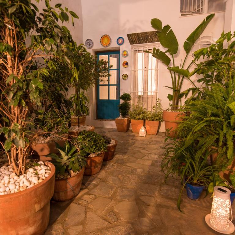 Casas Trafalgar - Apartamento de 1 dormitorio - 3