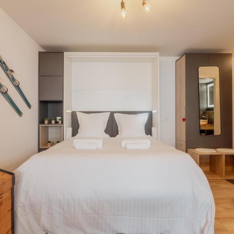 Studio rénové avec vue imprenable sur les Alpes - Studio - 11